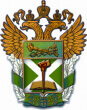 Диплом Российской таможенной академии